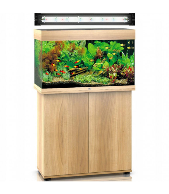 JUWEL Rio 125 Zestaw akwarium z i oświetleniem Spectrum LED 800 - 80cm, 32W | Sklep akwarystyczny: rośliny akwariowe, oświetlenie, filtr, szafka do i pod akwarium | Plantica